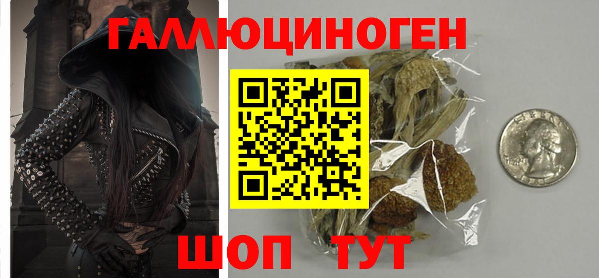 Галлюциногенные грибы мухоморы Мценск